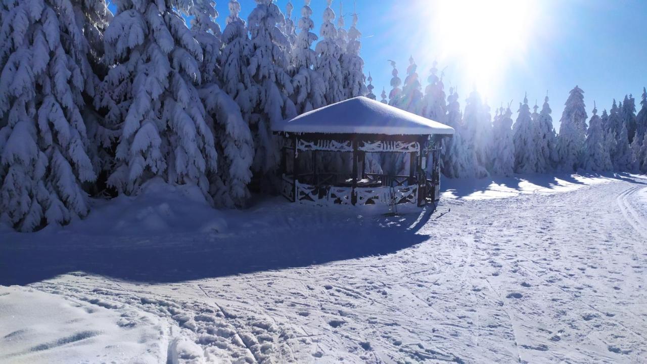 Helena Chalet